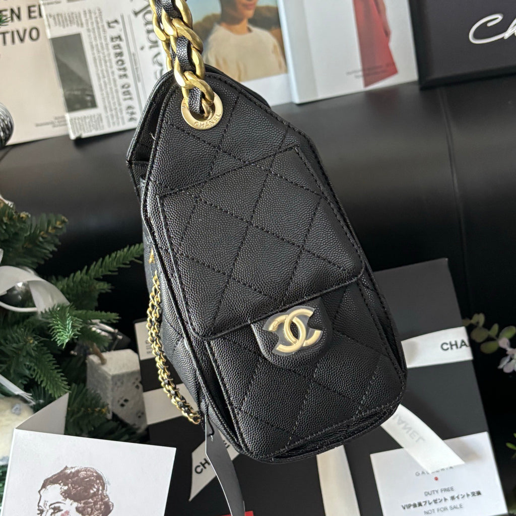 Caviar Calfskin Hobo Bag 25S